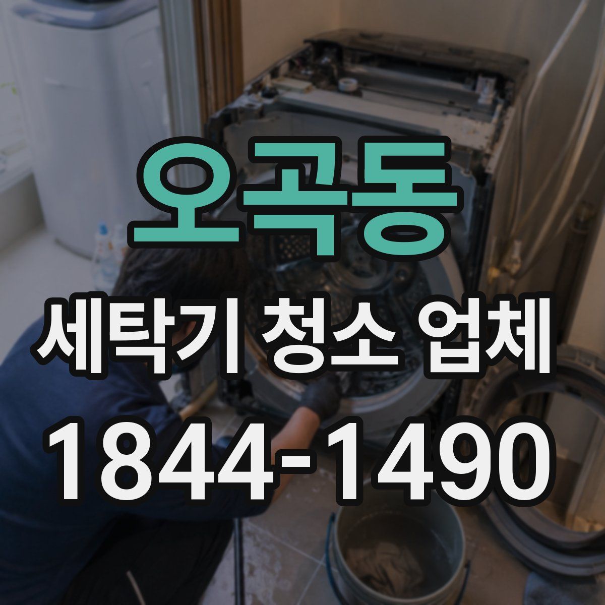 오곡동 세탁기 청소 업체