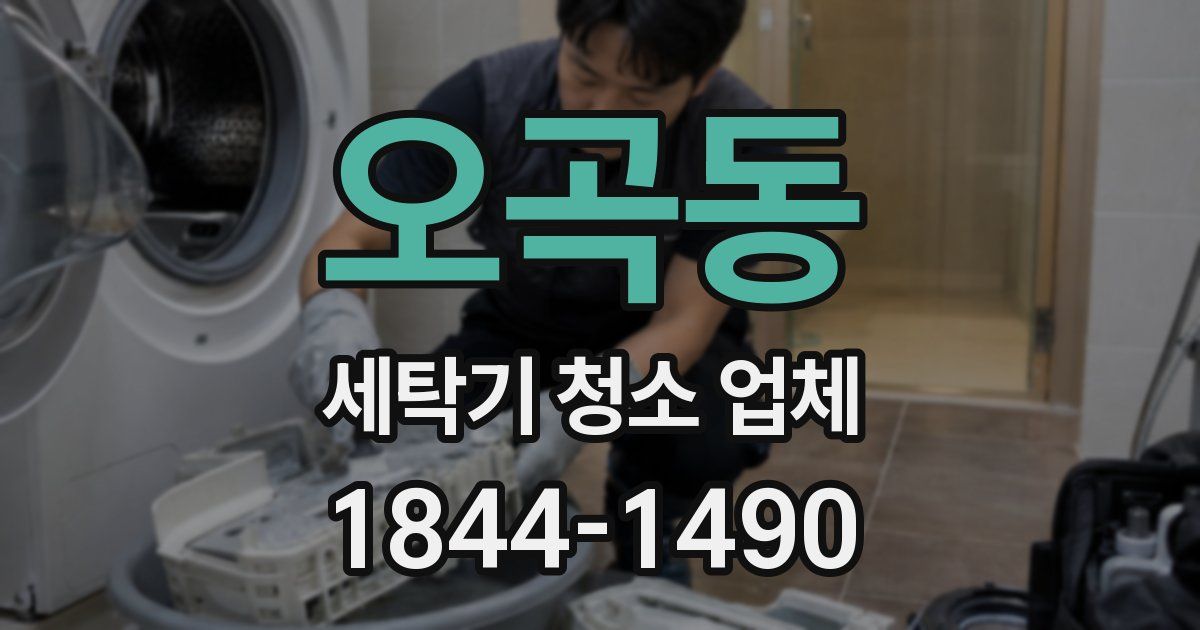 오곡동 세탁기 청소 업체