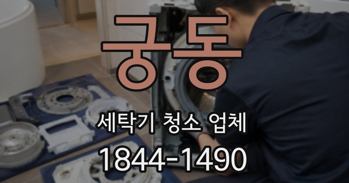 궁동 세탁기 청소 업체