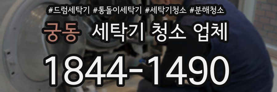 궁동 세탁기 청소 업체