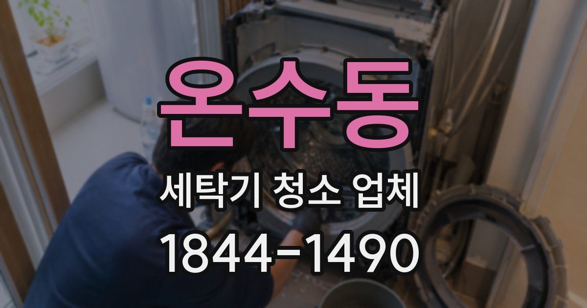 온수동 세탁기 청소 업체