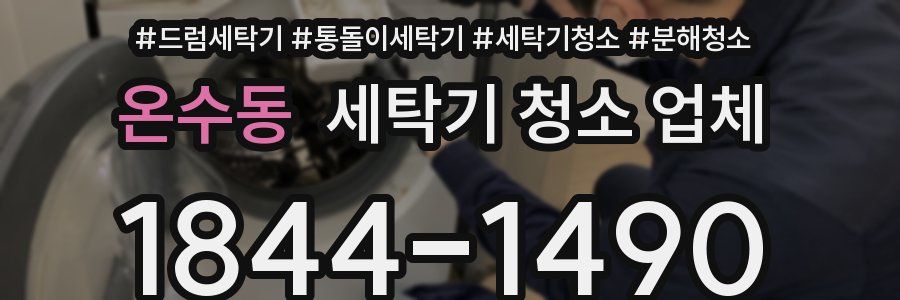 온수동 세탁기 청소 업체
