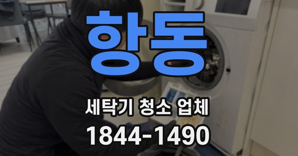항동 세탁기 청소 업체