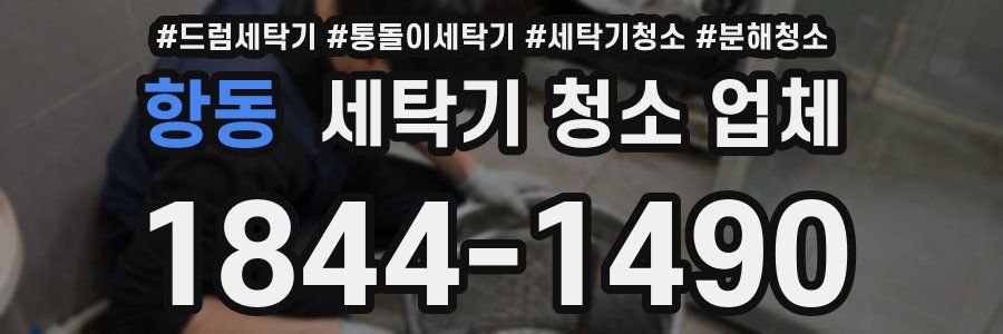 항동 세탁기 청소 업체
