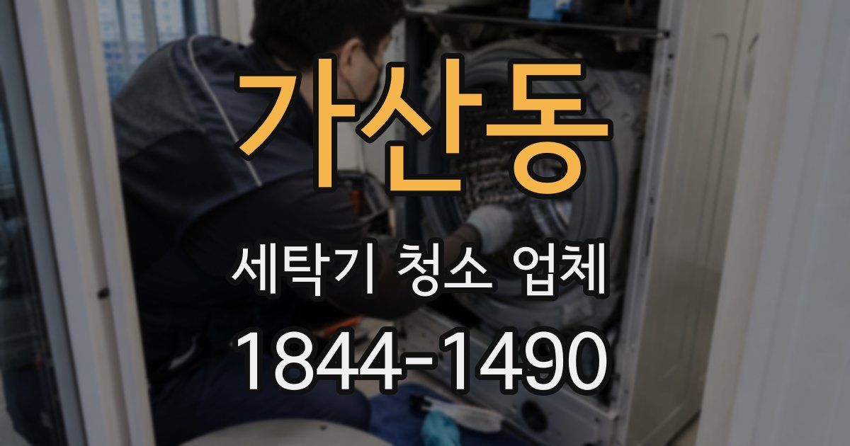 가산동 세탁기 청소 업체