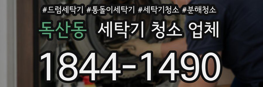 독산동 세탁기 청소 업체