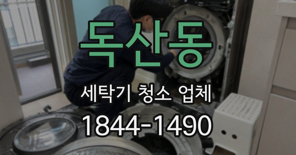 독산동 세탁기 청소 업체