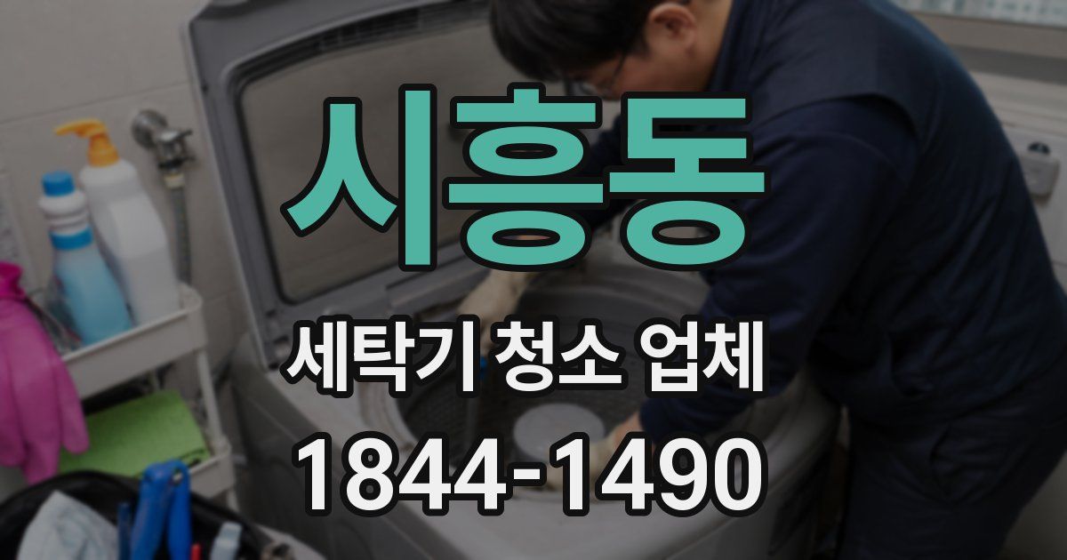 시흥동 세탁기 청소 업체