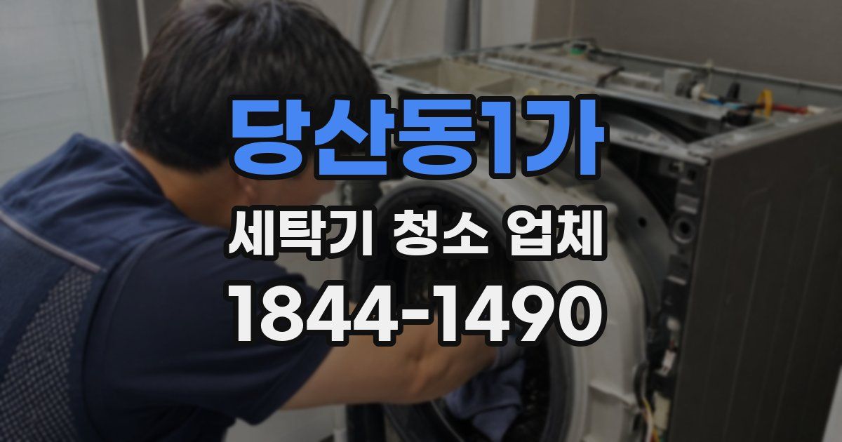 당산동1가 세탁기 청소 업체