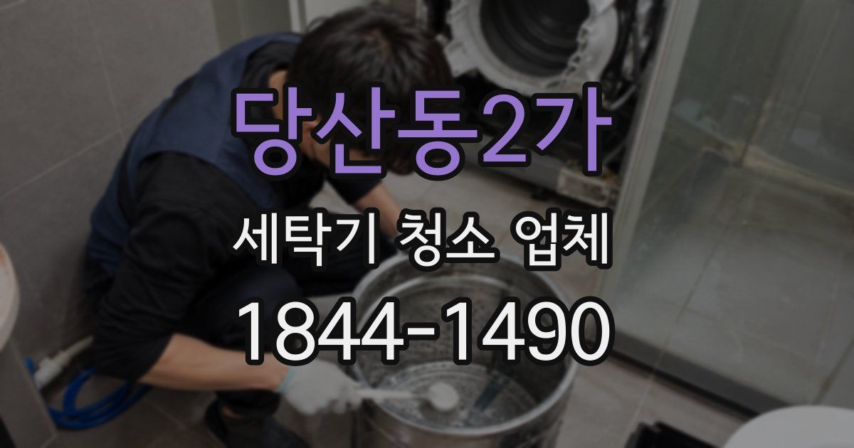 당산동2가 세탁기 청소 업체