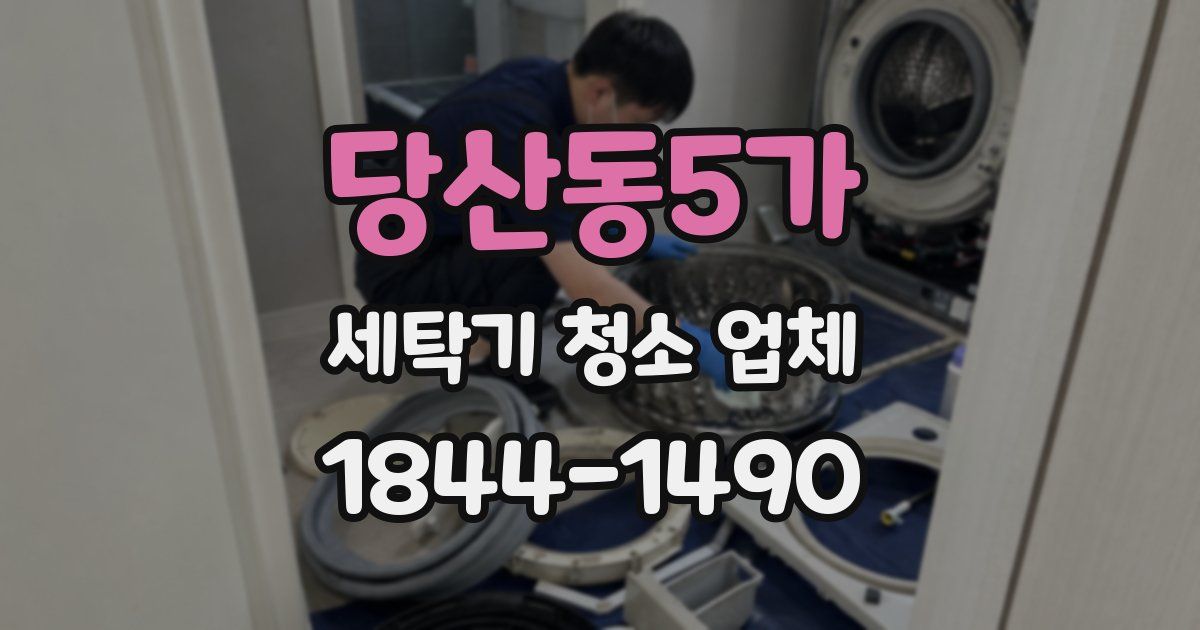 당산동5가 세탁기 청소 업체