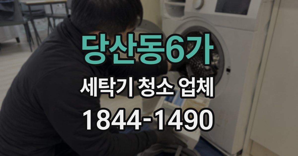 당산동6가 세탁기 청소 업체