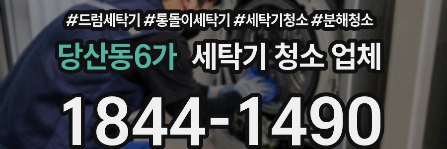 당산동6가 세탁기 청소 업체