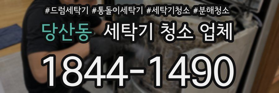 당산동 세탁기 청소 업체