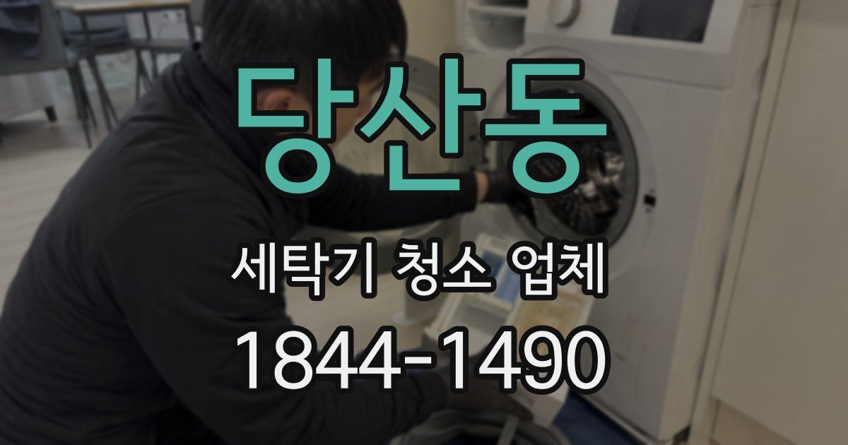 당산동 세탁기 청소 업체