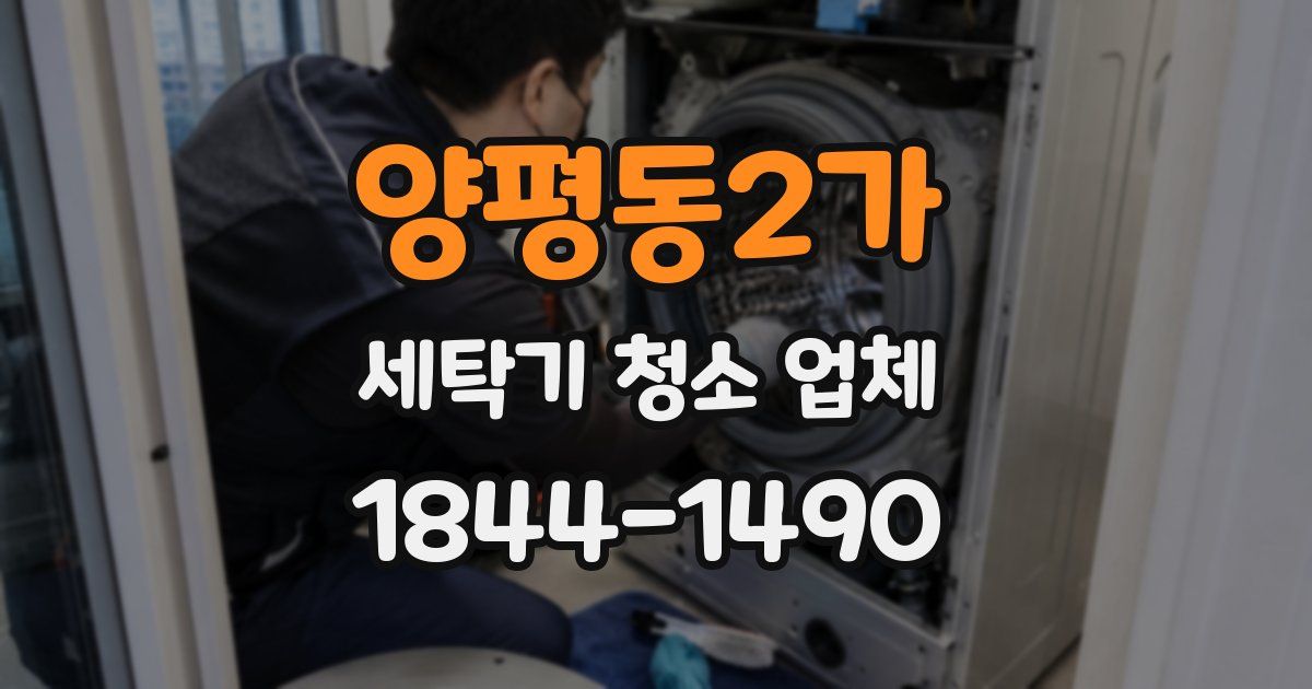 양평동2가 세탁기 청소 업체