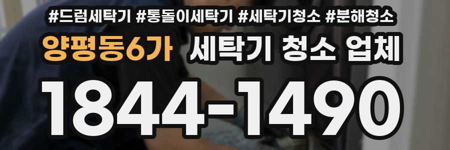 양평동6가 세탁기 청소 업체