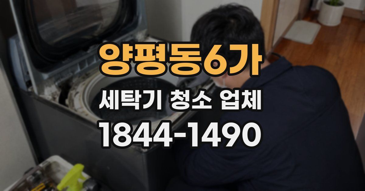 양평동6가 세탁기 청소 업체