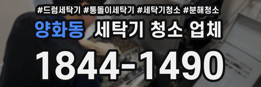 양화동 세탁기 청소 업체