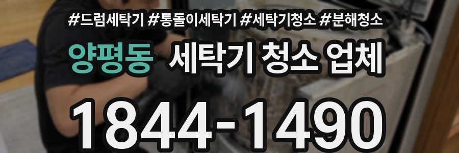 양평동 세탁기 청소 업체