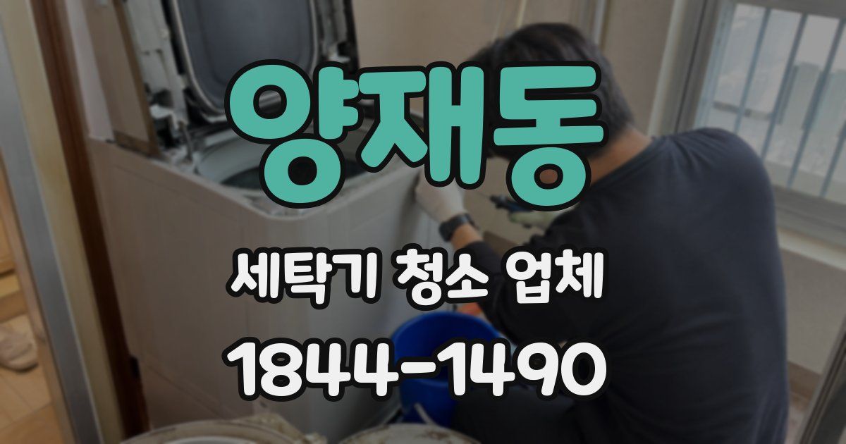 양재동 세탁기 청소 업체