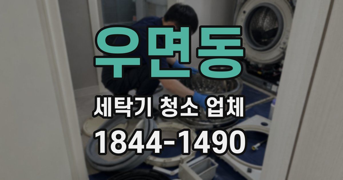우면동 세탁기 청소 업체