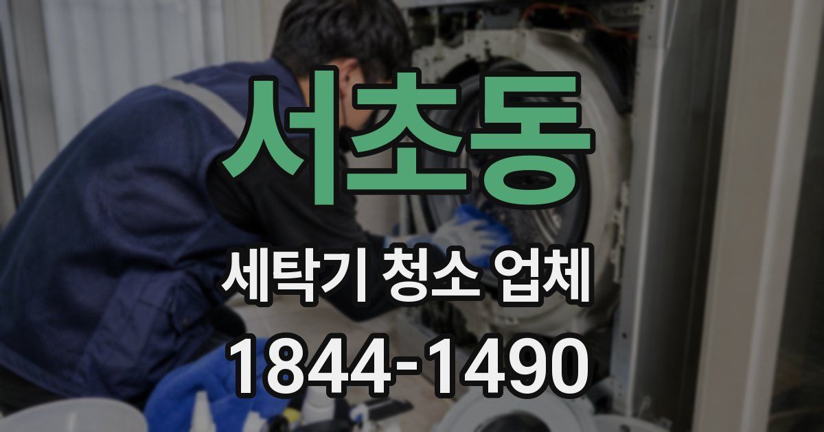 서초동 세탁기 청소 업체