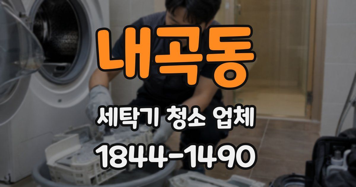 내곡동 세탁기 청소 업체