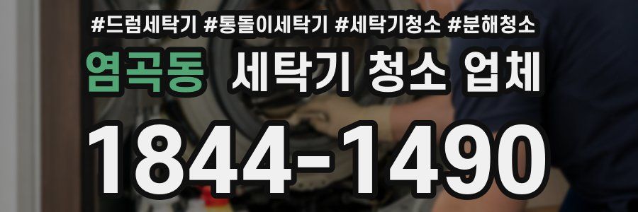 염곡동 세탁기 청소 업체