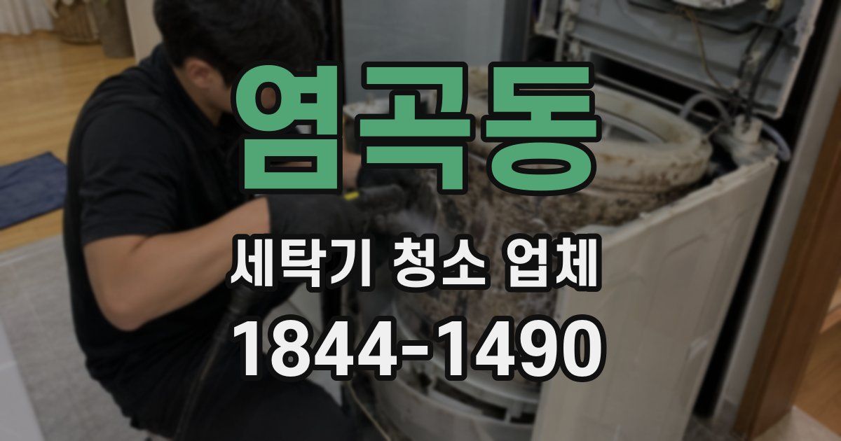 염곡동 세탁기 청소 업체