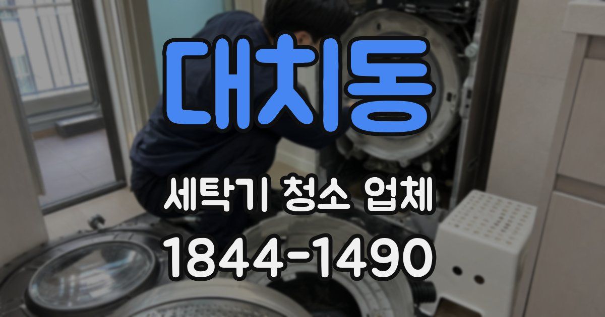 대치동 세탁기 청소 업체