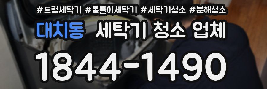 대치동 세탁기 청소 업체