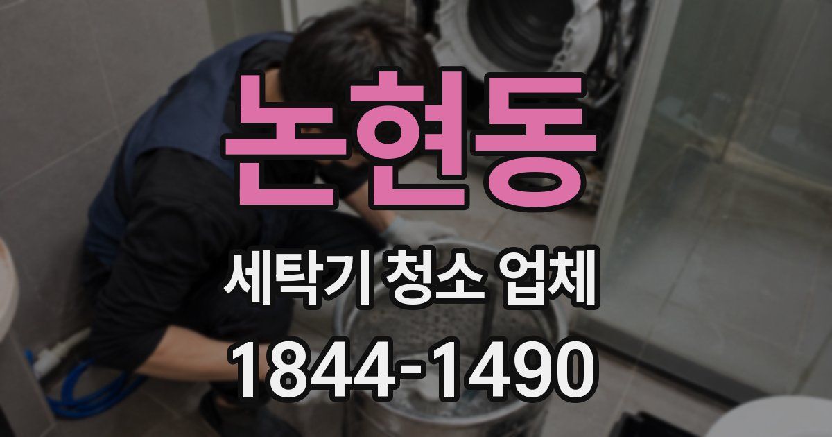 논현동 세탁기 청소 업체