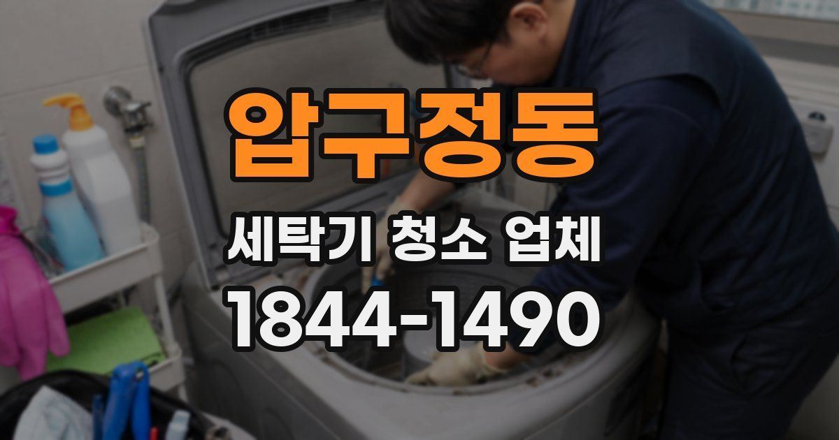 압구정동 세탁기 청소 업체