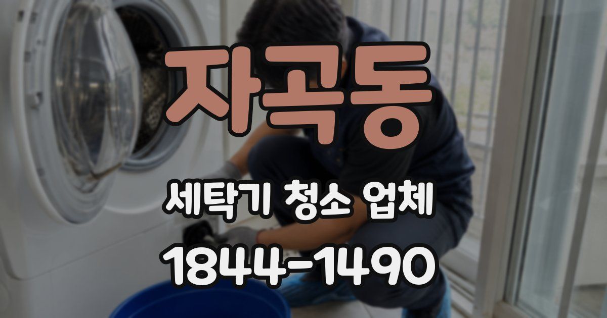 자곡동 세탁기 청소 업체