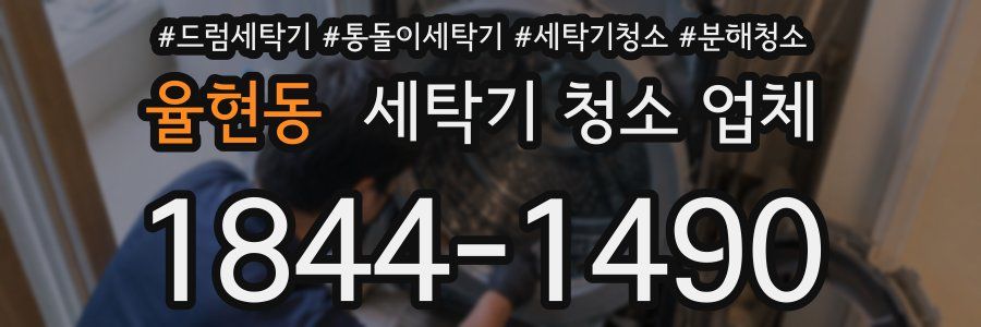 율현동 세탁기 청소 업체