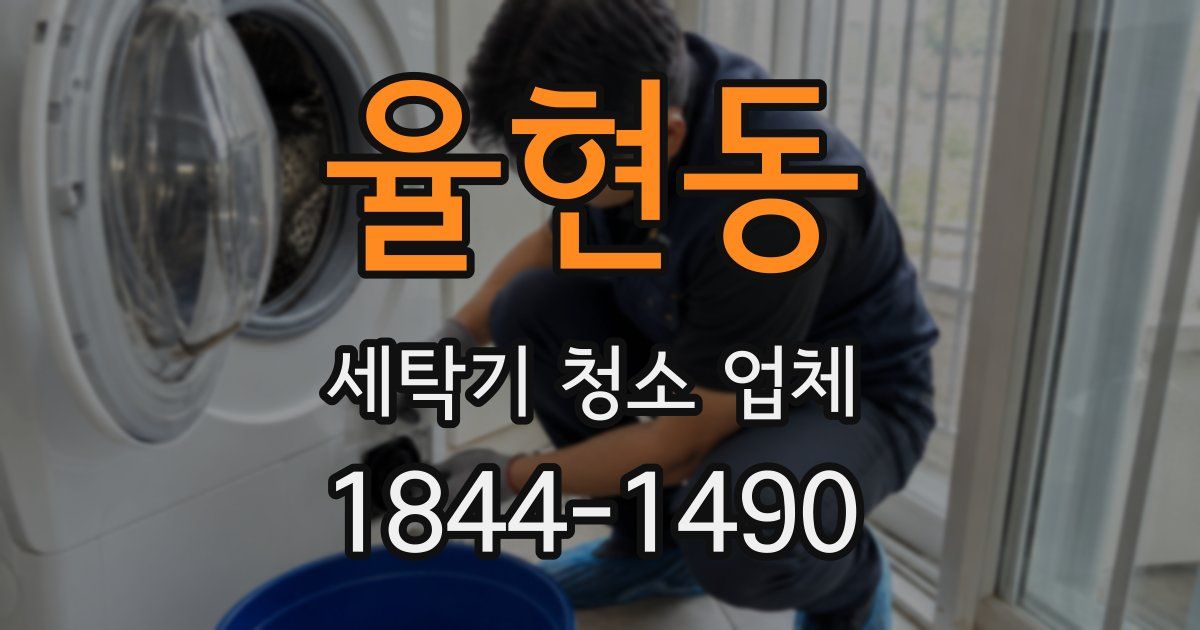 율현동 세탁기 청소 업체