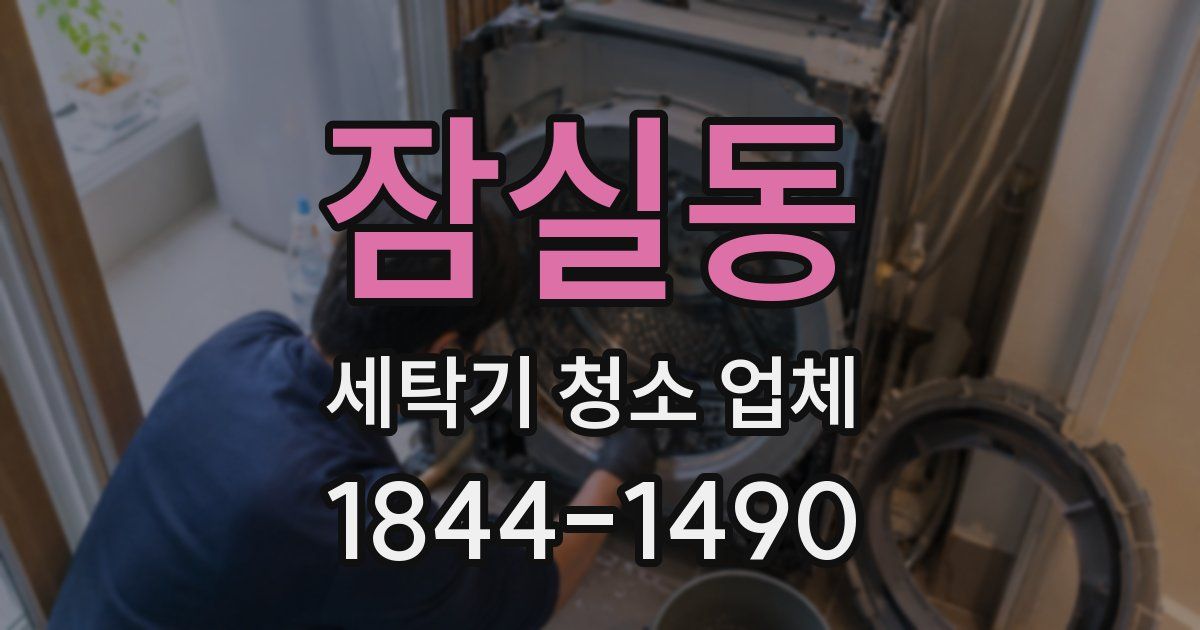잠실동 세탁기 청소 업체