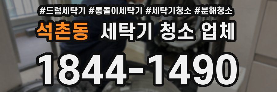 석촌동 세탁기 청소 업체