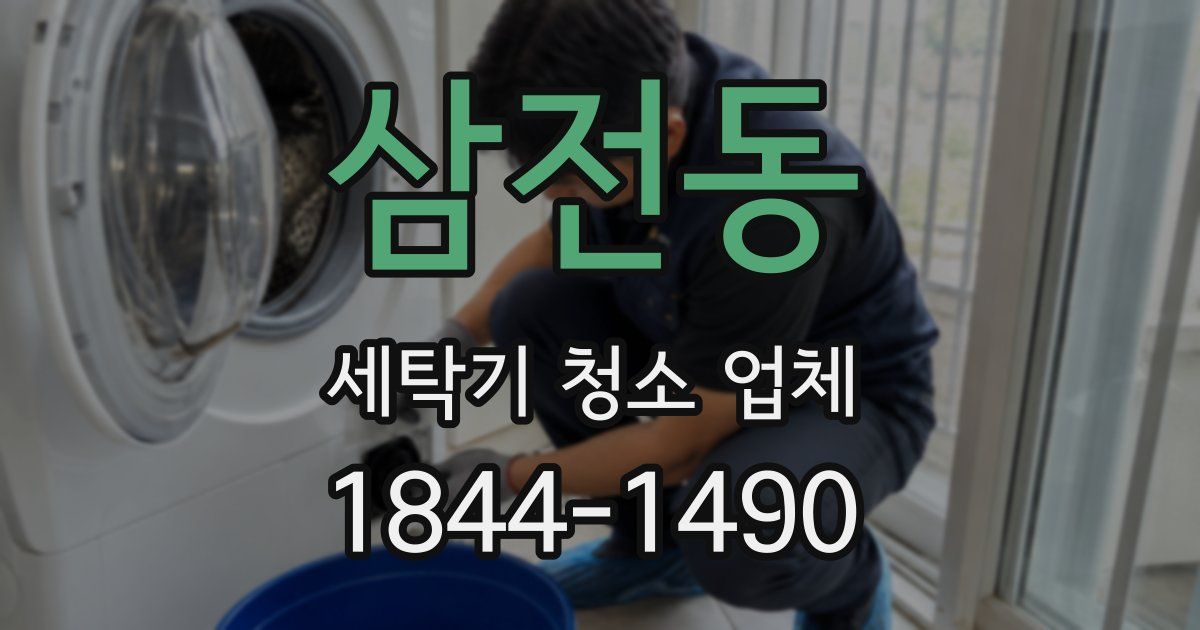 삼전동 세탁기 청소 업체