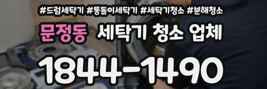 문정동 세탁기 청소 업체