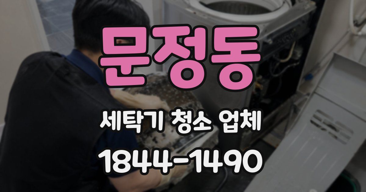 문정동 세탁기 청소 업체