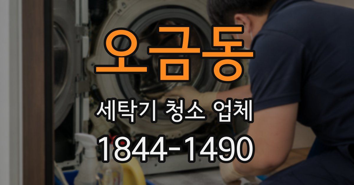 오금동 세탁기 청소 업체