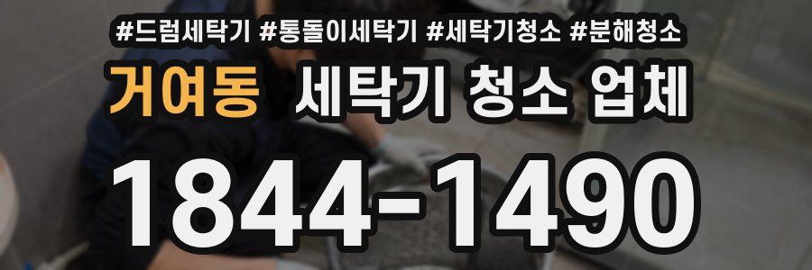 거여동 세탁기 청소 업체