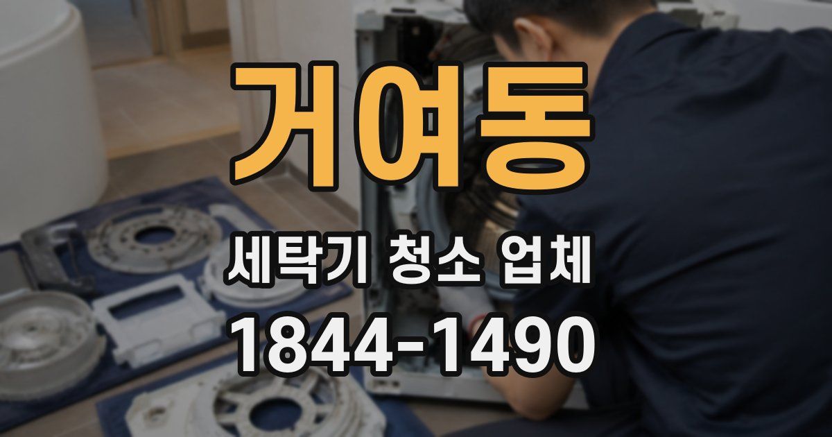 거여동 세탁기 청소 업체