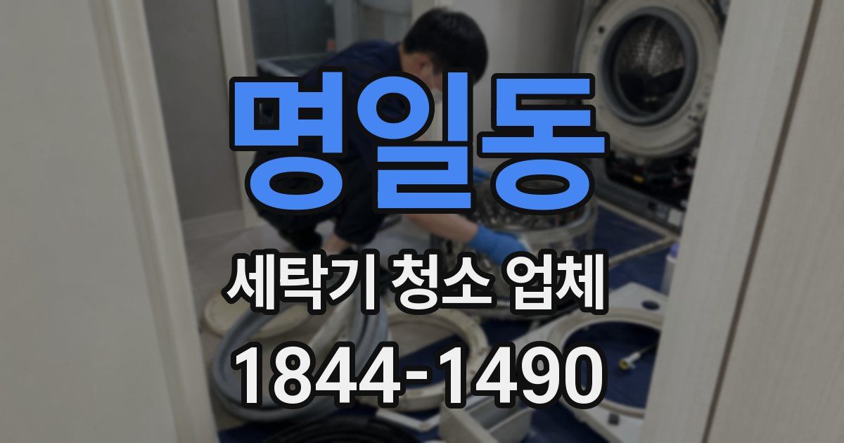 명일동 세탁기 청소 업체