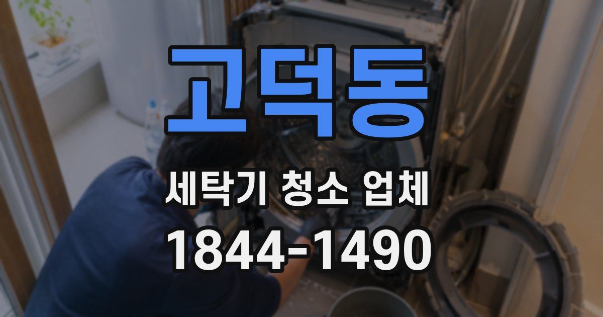 고덕동 세탁기 청소 업체