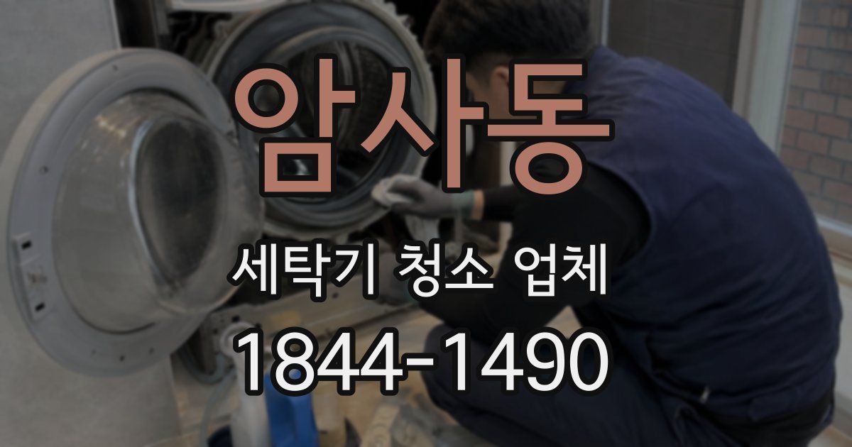 암사동 세탁기 청소 업체