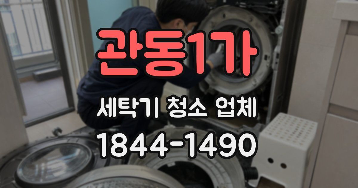 관동1가 세탁기 청소 업체