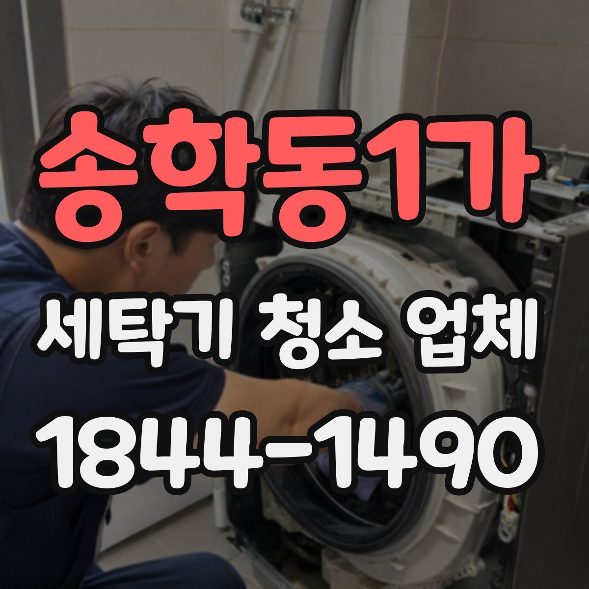 송학동1가 세탁기 청소 업체
